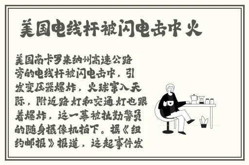 大菠萝18福建导航